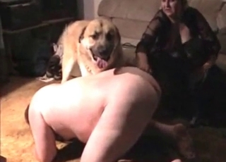 Horny doggo fucking a fat-ass bitch