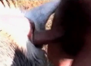 Big-dicked dude fucking a sexy puppy