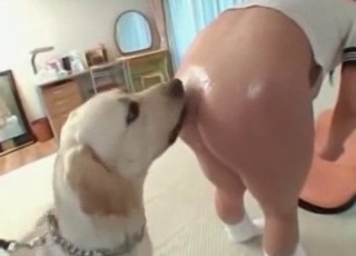 Bestiality banging with a sweet dog