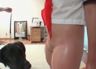 Bestiality banging with a sweet dog