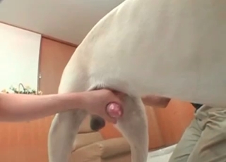 Horny chick takes this white dog's dick