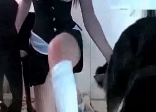Slutty babe fucks her sexy dogs on cam
