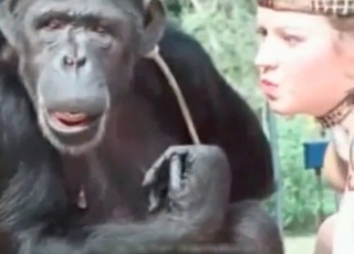 Monkey loves sexy human feet