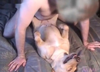 Cute dog seduced by a zoophilic bitch