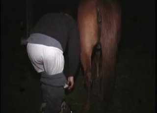 Dude fucking a seductive horse outdoors