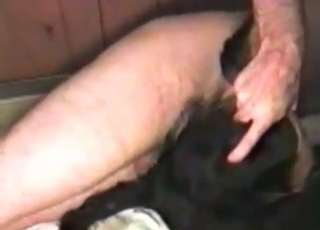 Crazy pet enjoying anal fucking on cam