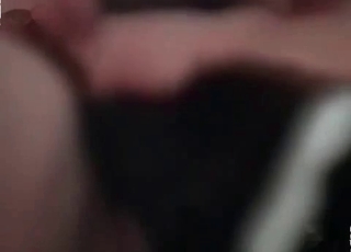 Wet pussy licked by a horny dog