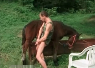 Hardcore horse enjoying bestiality