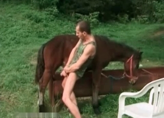Hardcore horse enjoying bestiality