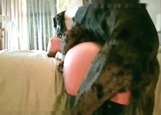 Twisted animal enjoying redhead's pussy