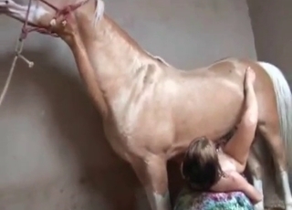 Jacked-up stallion is into bestiality sex