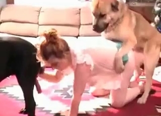 Beauty gets gang-banged by dogs