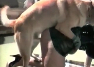 MILF wants her pussy licked thoroughly