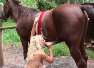 Horse dick serviced by a sexy blondie