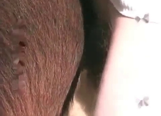 Huge cock pleasured by a horny horse