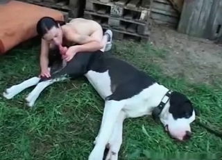 Giant dog enjoying hardcore sex
