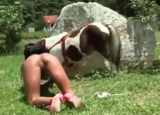 Sexy pony seduced by a tanned slut