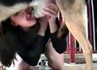 Gorgeous shepherd fucking a clothed bitch