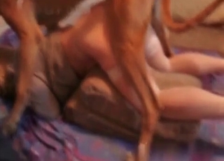 Kinky MILF enjoying dog cock on cam