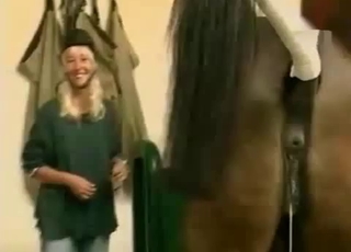 People watching horny horses have sex
