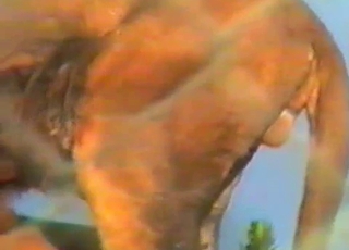 Lustful lions enjoying outdoors sex