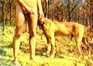 Dirty dude is about to molest a dog