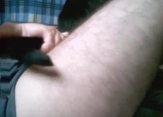 Tiny black dog gets fucked brutally here