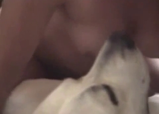 Busty amateur passionately rides dog cock