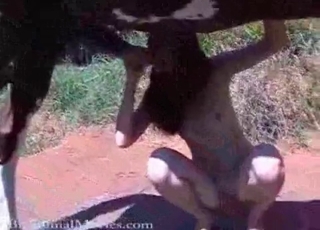 Pretty pony enjoying outdoors fucking
