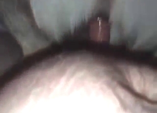 Female beast blasted until it cannot stop