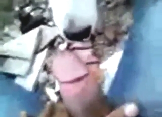 Seductive white dog ends up getting FUCKED