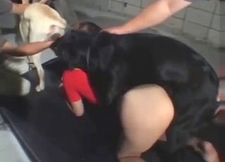 Giggling Asian teen wants dogs to fuck her