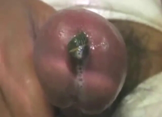 Dude lets a leech slide inside of his urethra