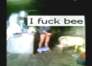Well-hung zoophile fucking a sheep too hard