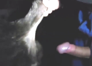 Totally dominant guy fucking a sexy cow deep