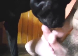 Crazy oral dog porn movie with a sexy beast