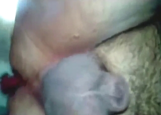 Gay zoo sex impresses with hardcore gape