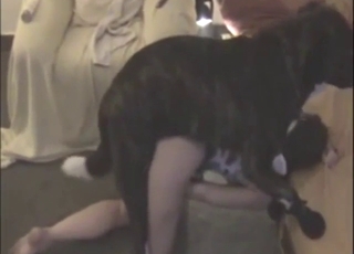 Bestiality with a round-assed dog lover taking it