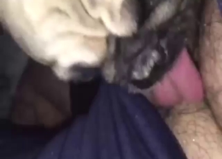 Zoophile POV scene with a hairy-dicked mofo