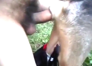 Zoo sex shows a beast taking dick like wow