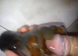 Bestiality porn with a guy and his fucking slugs