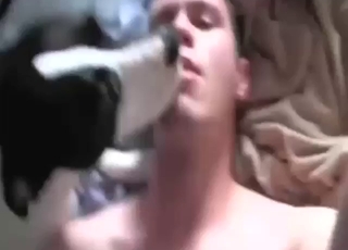 Dude has several dogs worshipping his body