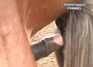 Foal fuck movie with foul doggystyle sex outdoors