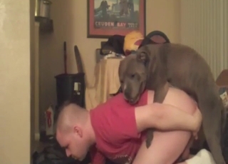 Phat booty zoophile gets fucked on all fours