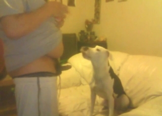 Dick of a sexy guy gets licked by a horny beast