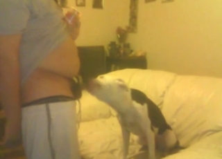 Dick of a sexy guy gets licked by a horny beast