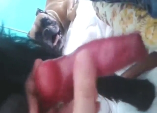 Black beast is going to get stroked with passion