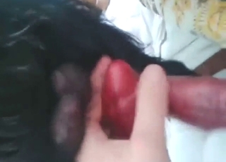 Black beast is going to get stroked with passion