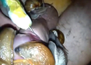Snail party on penis, what a lucky motherfucker