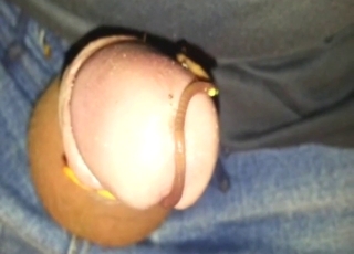 Worm makes its way inside his fucking urethra